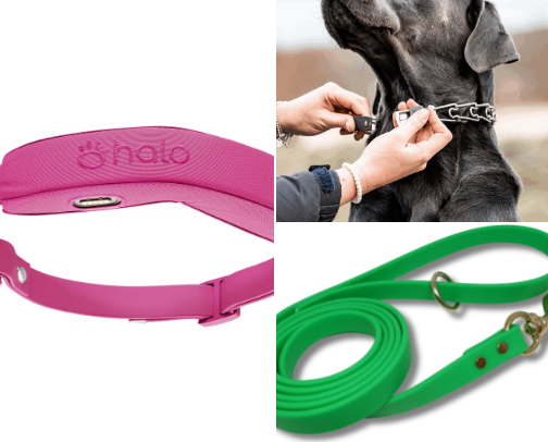 Dog essentials cover photo collage