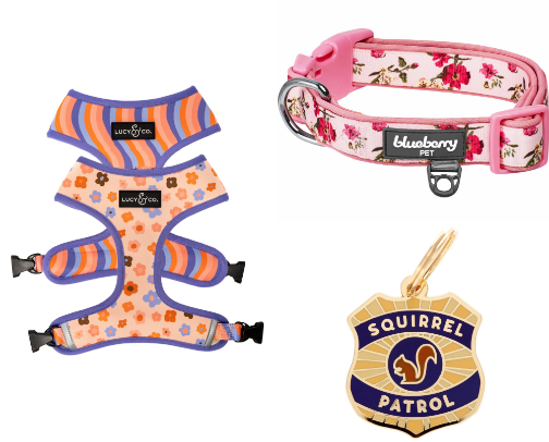 Dog walking 101: The best kit cover photo collage