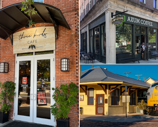 winter garden, fl🍊 cover photo collage