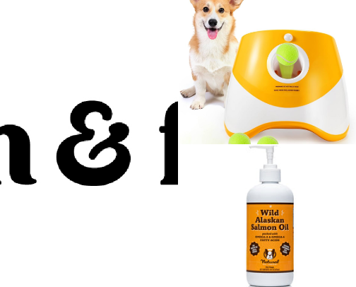 Dog Mom Must Haves cover photo collage