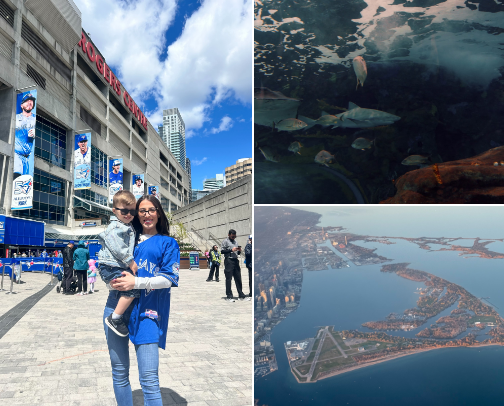 My top Toronto recs cover photo collage