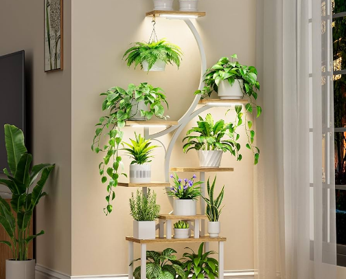 BEST PLANTS STAND cover photo collage