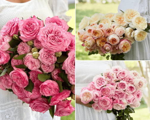 Valentines Day Gifts for Your Special Someone cover photo collage