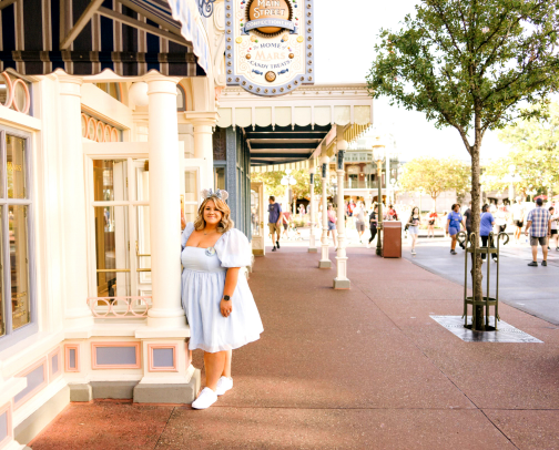 MICKEYS °o° MAIN BESTIES FOR SURVIVING A PARK DAY cover photo collage