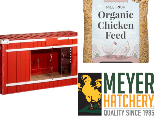 Chicken Keeping cover photo collage