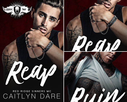 Read Free - Reap: A Dark MC Romance (Red Ridge Sinners MC Book 2) companions cover photo collage