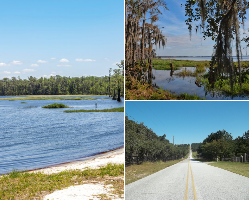 Things to do in Clermont, Florida cover photo collage