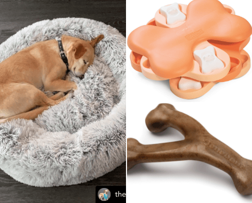 For your dog 🐶 cover photo collage