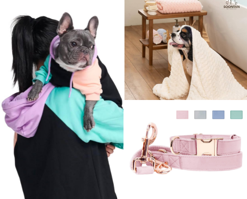 🐾 Dog Parent Essentials I Swear By cover photo collage