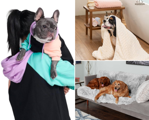 🐾 Dog Parent Essentials I Swear By ❄️Winter Refresh Edition❄️ cover photo collage