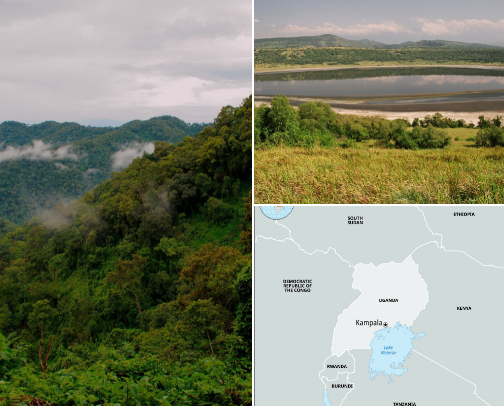 Explore Uganda: Tourist Spots & Food Delights cover photo collage