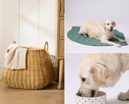 Aesthetic Home Essentials for Dog Owners cover photo collage