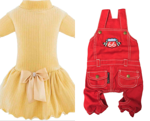 Top Picks for Your Furry Fashionista cover photo collage