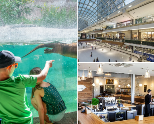 Houston, TX Favs cover photo collage