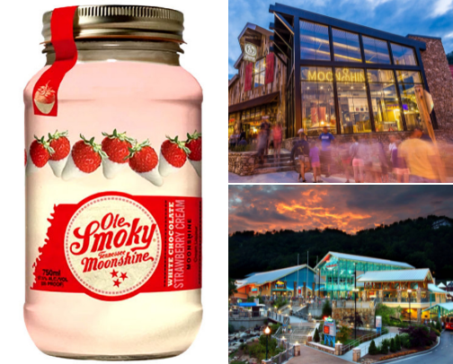 Tennessee Travel cover photo collage