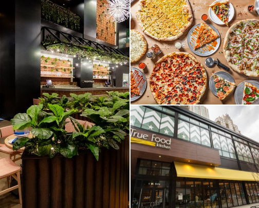 My top Chicago recs cover photo collage