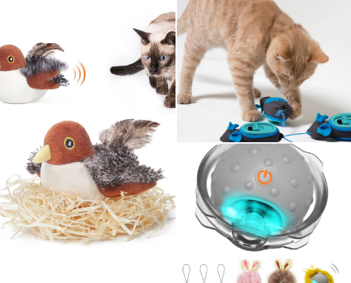 Best toys to bring out every cat’s inner hunter cover photo collage