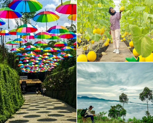 🍁 15 Dreamy Fall Vibes Photo Spots in Indonesia cover photo collage