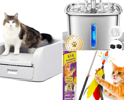 Kitten Must Haves cover photo collage
