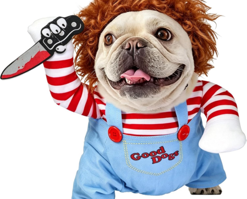 Stylish Pets Halloween Costumes for Pets cover photo collage