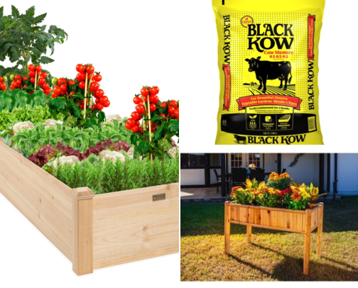 I Finally Fixed My Sad Garden Beds and My Tomatoes Actually Doubled cover photo collage