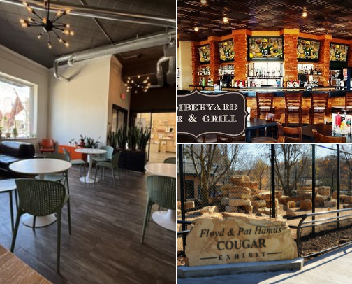 Fav Local Spots in Marshfield, WI cover photo collage