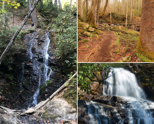 🥾✨ My Top 15 Hiking Spots for Beginners in Pigeon Forge & Gatlinburg, TN cover photo collage