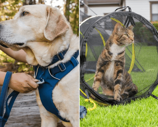 Pets: Dogs and Cats; Stuff to Make Our Furbabies Happy! cover photo collage