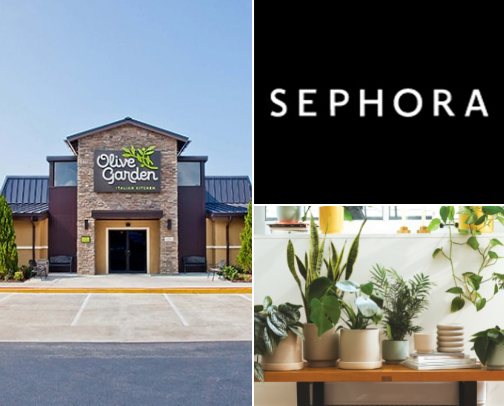 My top Spring recs cover photo collage