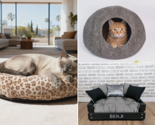How I Finally Got My Pet to Stop Sleeping on My Furniture cover photo collage
