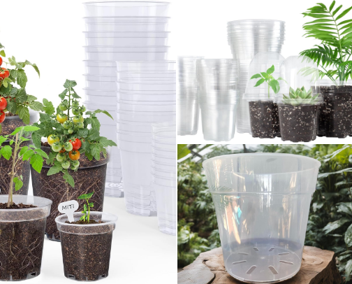 Plant Care Supplies I Actually Use cover photo collage