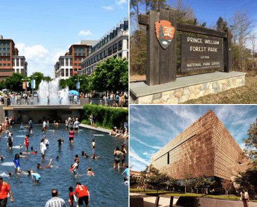 Things to do in DC cover photo collage