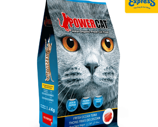 Food for cat pet cover photo collage