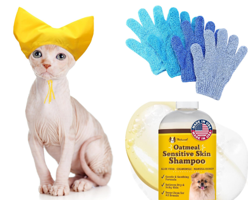 sphynx cat must-haves for a healthy & happy kitty 🐈‍⬛🫶 cover photo collage