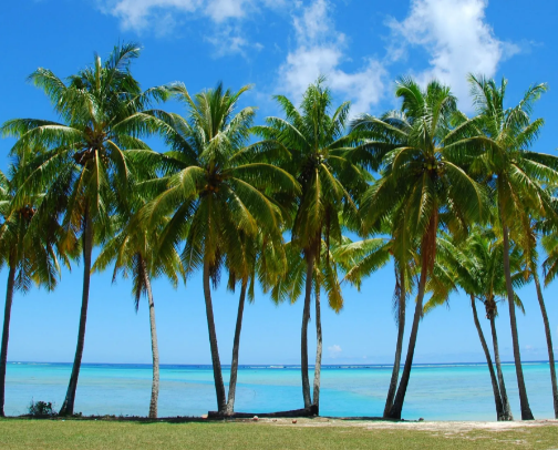 Family Vacation Planning cover photo collage