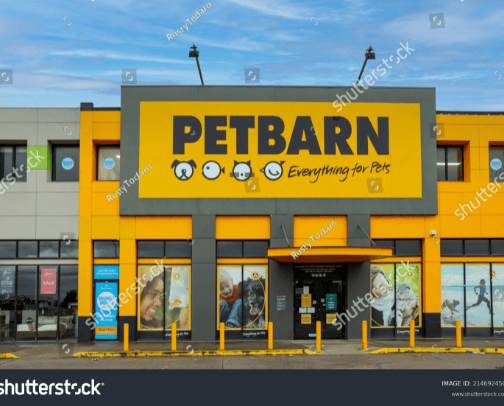 Pets and Animals cover photo collage