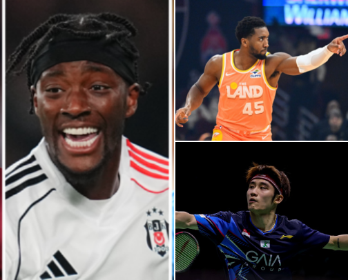 this is my favorite hobby and sports tv cover photo collage