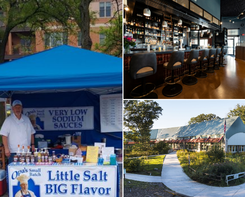 Top adventures and things to do near Lemont and Woodridge. cover photo collage