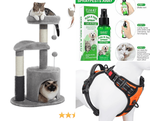 Animals recommandations 🐶 cover photo collage