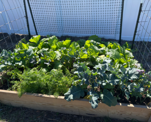 Homesteading-Gardening & Canning cover photo collage