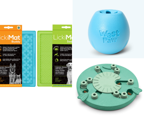 Enrichments For Your Dogs They Will Love cover photo collage