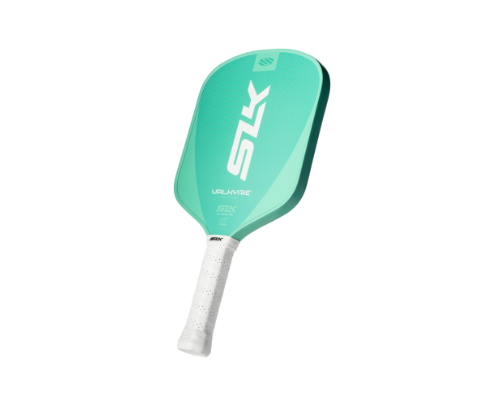 Pickleball Essentials for Beginners cover photo collage
