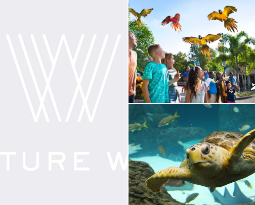 Weekend in Tampa 🌴 cover photo collage