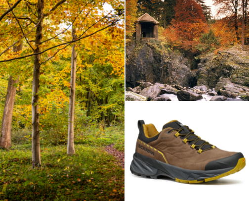 UK Autumn Walks & Folklore Guide: The Best Ancient Woodlands for Autumn Colour cover photo collage