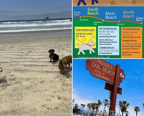 The OC Dog Parks Worth the Drive (And a Few You Can Skip) cover photo collage