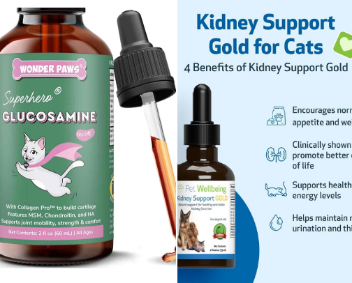 Care for Senior Cats cover photo collage