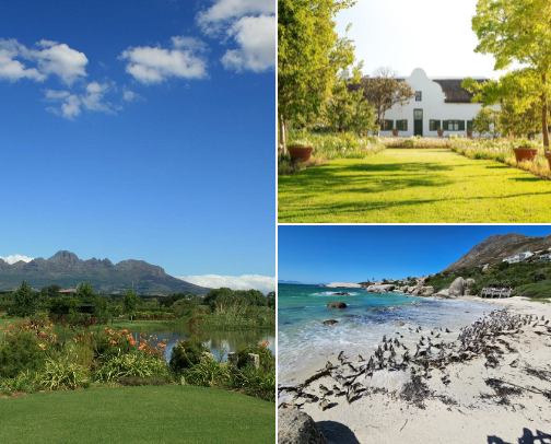 my favourite places in cape town ⛰️ cover photo collage