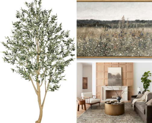 Amazon decor I have and love! cover photo collage