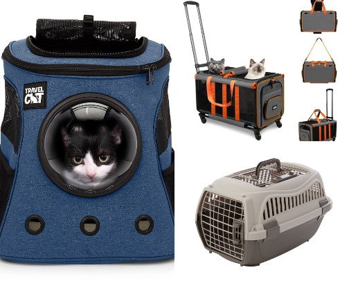 Purrrrrfect Pet Stuff: Everything You Need For Your New Kitten cover photo collage