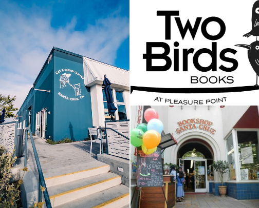 My top Santa Cruz recs cover photo collage
